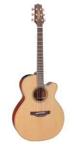 Takamine P3NC