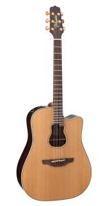 Takamine GB7C
