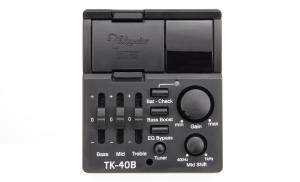 Takamine GB30CE - Natural High Gloss