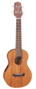 Takamine EGU-C1