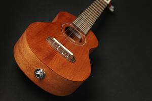 Takamine EGU-T1