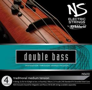 DAddario NS610