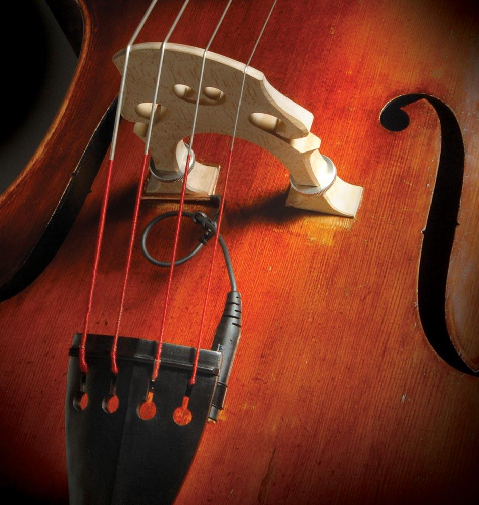 The Realist RLSTSwB1