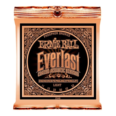 Ernie Ball 2548 Everlast Coated Phosphor Bronze 011-052