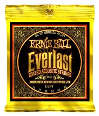 Ernie Ball 2558 Everlast Coated 80/20 Bronze 011-052