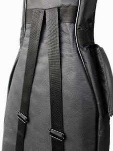 Profile PR50-EB Elgitarr