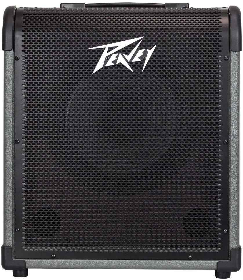 Peavey MAX 100