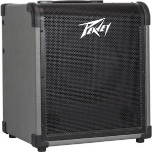 Peavey MAX 100