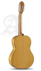 Alhambra 7Fc inkl. gigbag