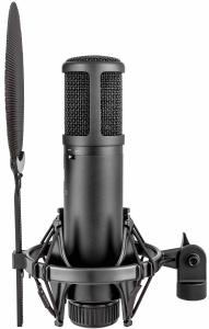 sE Electronics sE2200