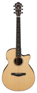 Ibanez AEG200-LGS