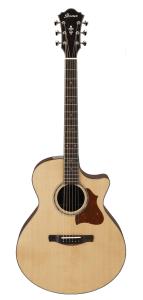 Ibanez AE519-NT