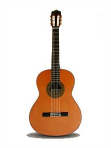 Alhambra 10 Premier inkl gigbag