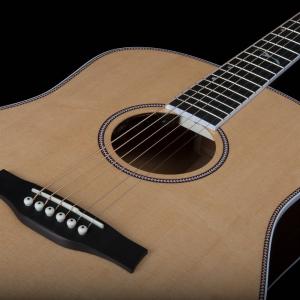 Seagull Artist Mosaic Anthem - Natural