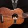 Planet Waves 19UKE02
