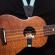 Planet Waves 19UKE03