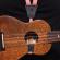 Planet Waves 19UKE04