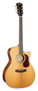 Cort Gold-A6 framifrån, natural