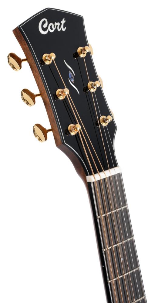 closeup på Cort Gold-A6 headstock, natural