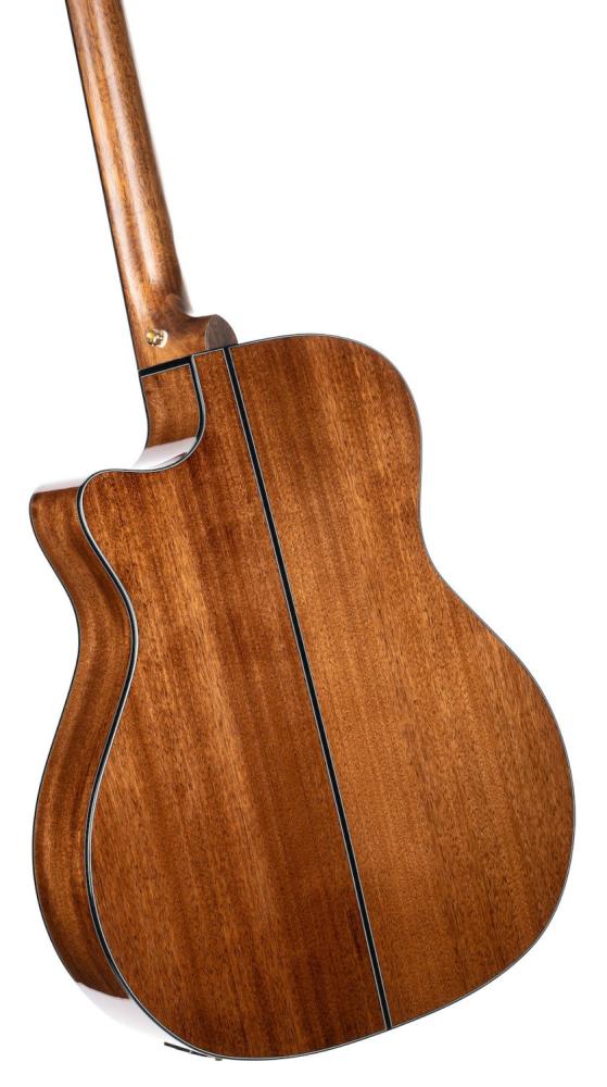 closeup på Cort Gold-A6 bakifrån, natural