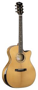 Cort Gold Edge NAT w/case