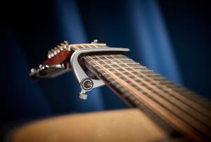 G7th Newport 12 String Silver