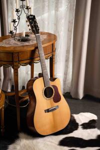 Cort Gold-DC6 Natural inkl. case