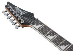 Ibanez GRG220PA1-BKB