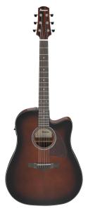 Ibanez AAD51CE-DVS