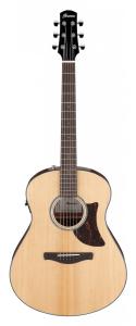 Ibanez AAM100E-NT
