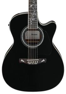 Ibanez AC391RCE-BKH