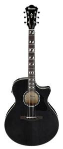 Ibanez AE170-TBK