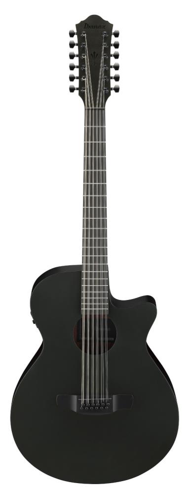 Ibanez AEG1221-BOT