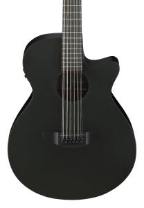 Ibanez AEG1221-BOT