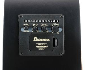 Ibanez AEG721-BOT