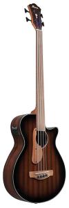 Ibanez AEGB24FE-MHS