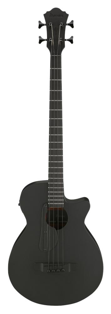 Ibanez AEGB420-BOT
