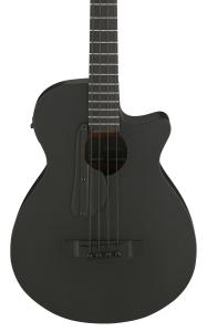 Ibanez AEGB420-BOT