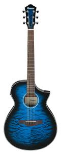 Ibanez AEWC16QA-TLH