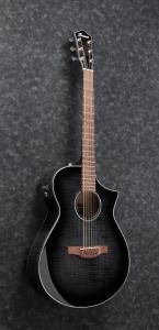Ibanez AEWC400-TKS
