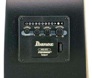 Ibanez AEWC621-BOT