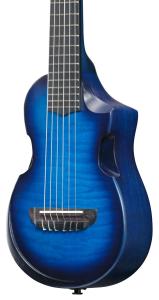 Ibanez AUP10FMNE-TBO