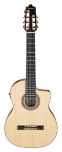 Ibanez GA3007CE-NT