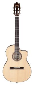 Ibanez GA360TCE-NT