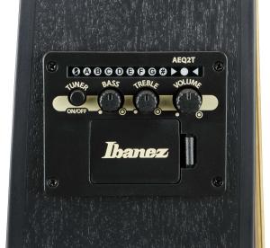 Ibanez TCY621-BOT