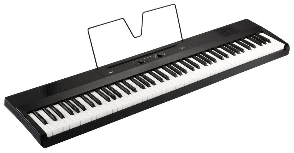 Korg L1 Liano