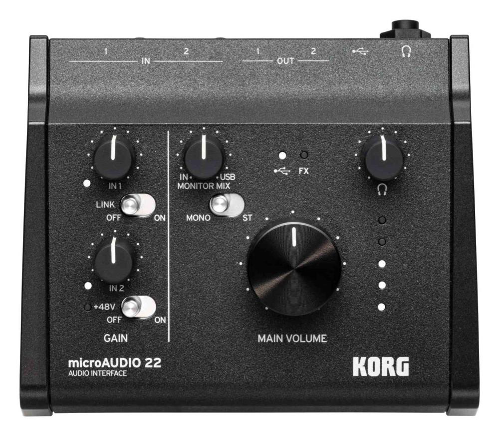 Korg microAUDIO 22