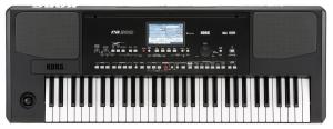 Korg PA300