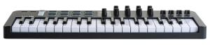 Arturia MiniLab 37 - Svart