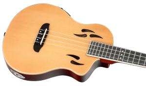 Ortega RTPS-U-NAT